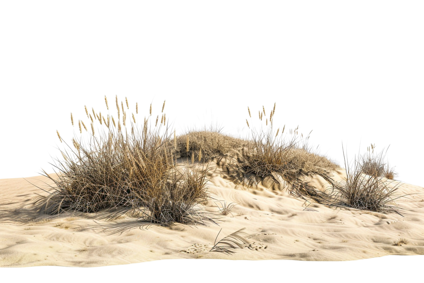 Desert isolated on transparent background png