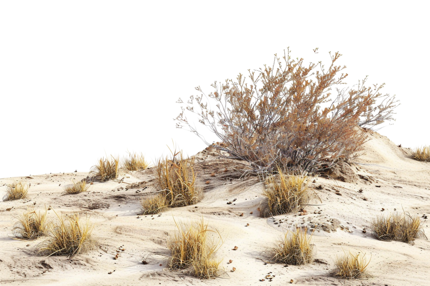 Desert isolated on transparent background png