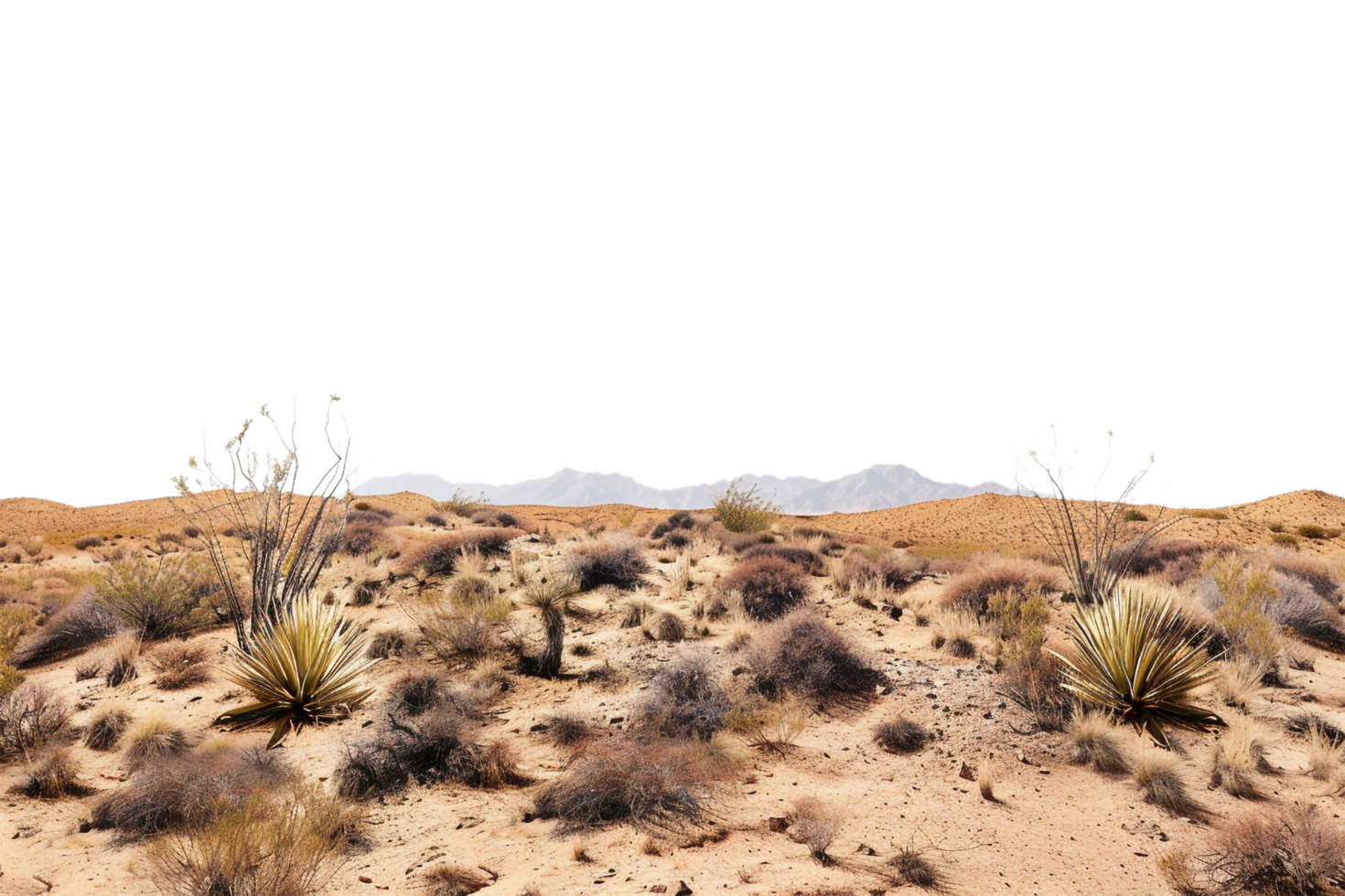 Desert isolated on transparent background png
