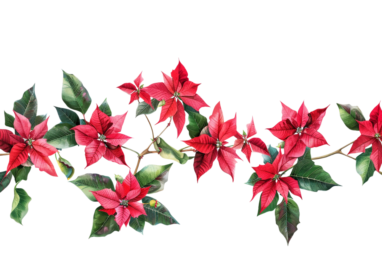 Seamless Tile of Christmas Poinsettias Border Isolated png