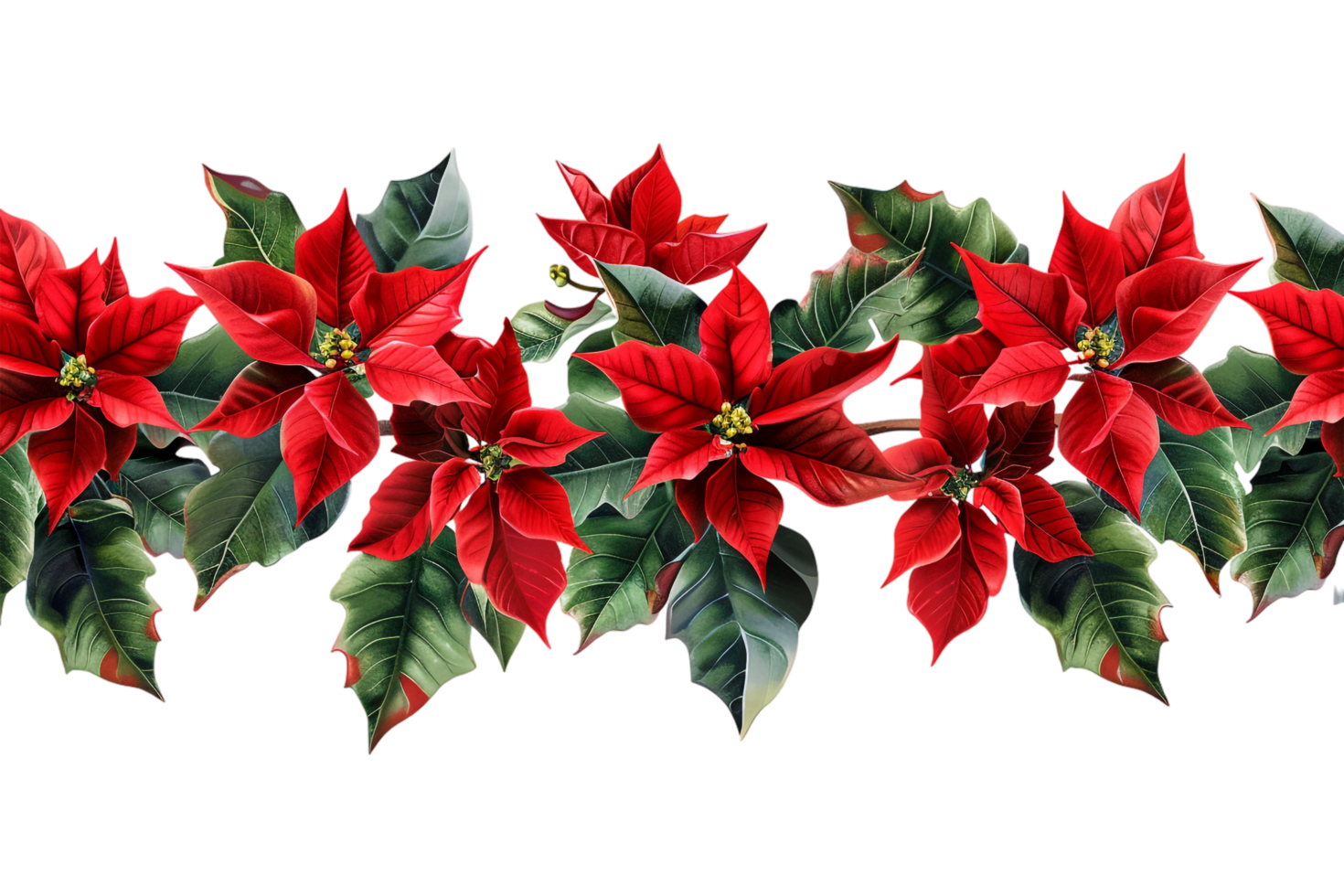 Seamless Tile of Christmas Poinsettias Border Isolated png