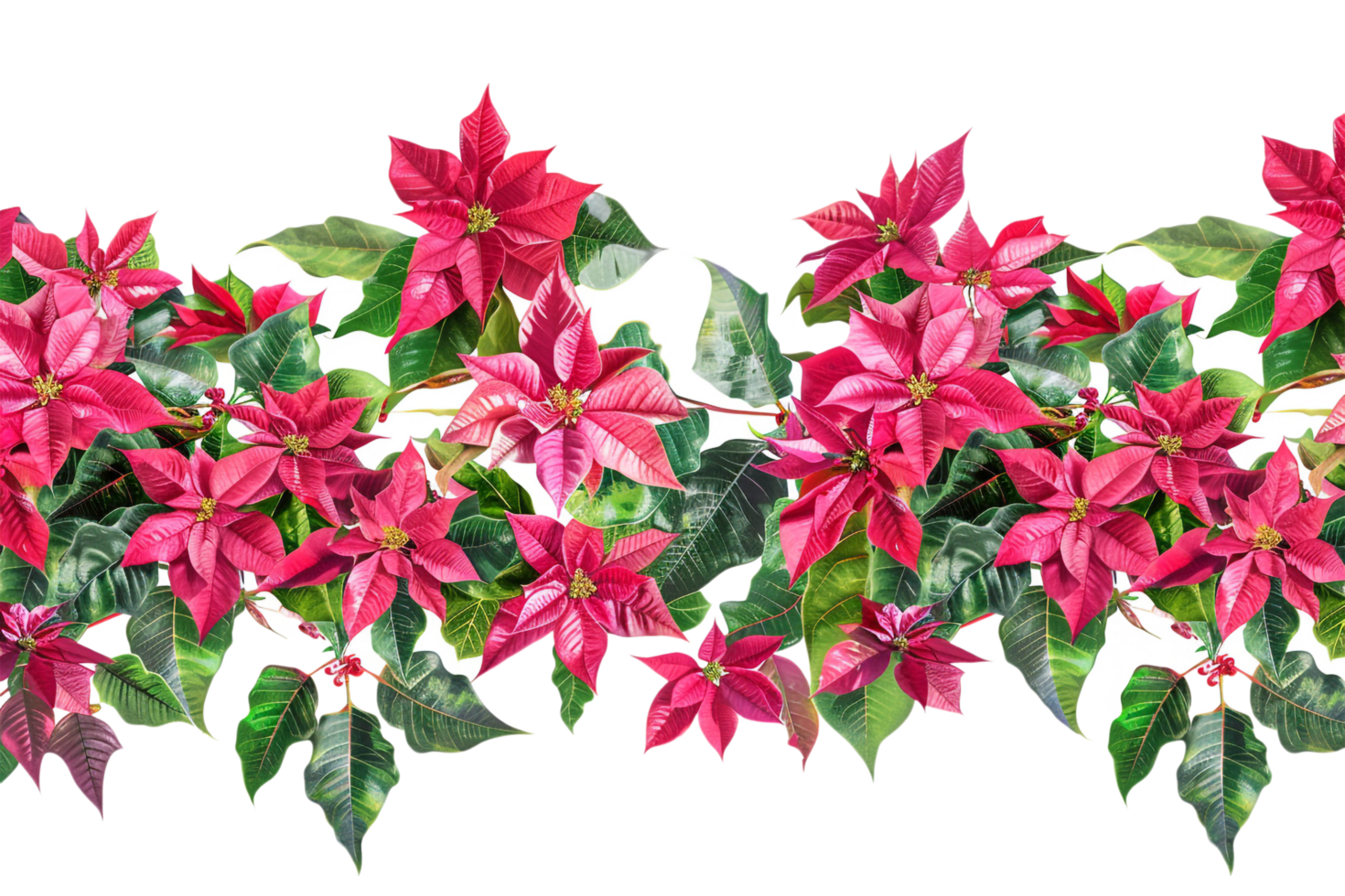 Seamless Tile of Christmas Poinsettias Border Isolated png