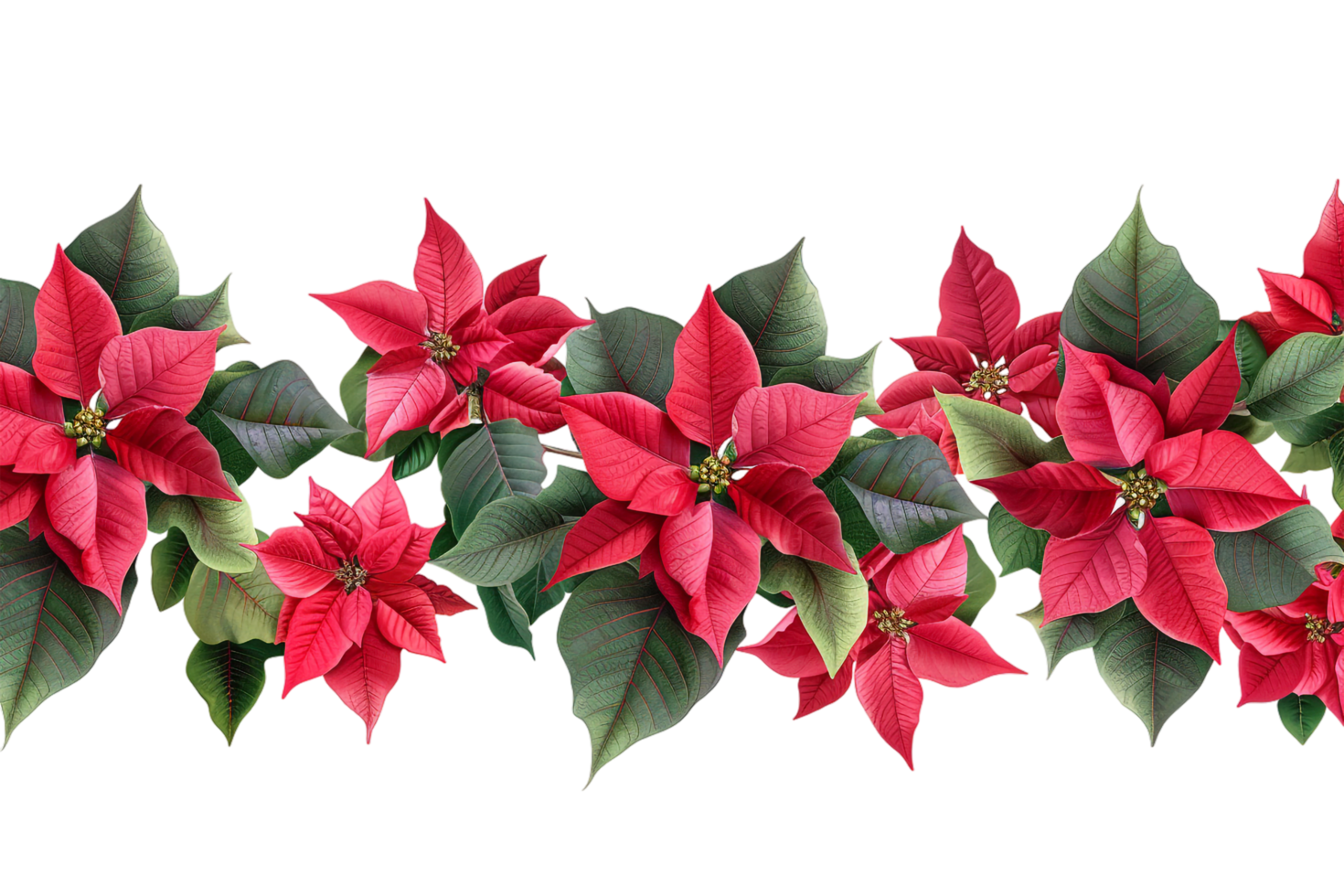 Seamless Tile of Christmas Poinsettias Border Isolated png