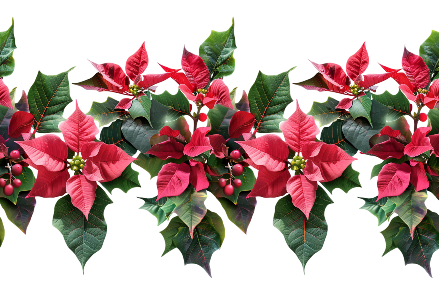Seamless Tile of Christmas Poinsettias Border Isolated png