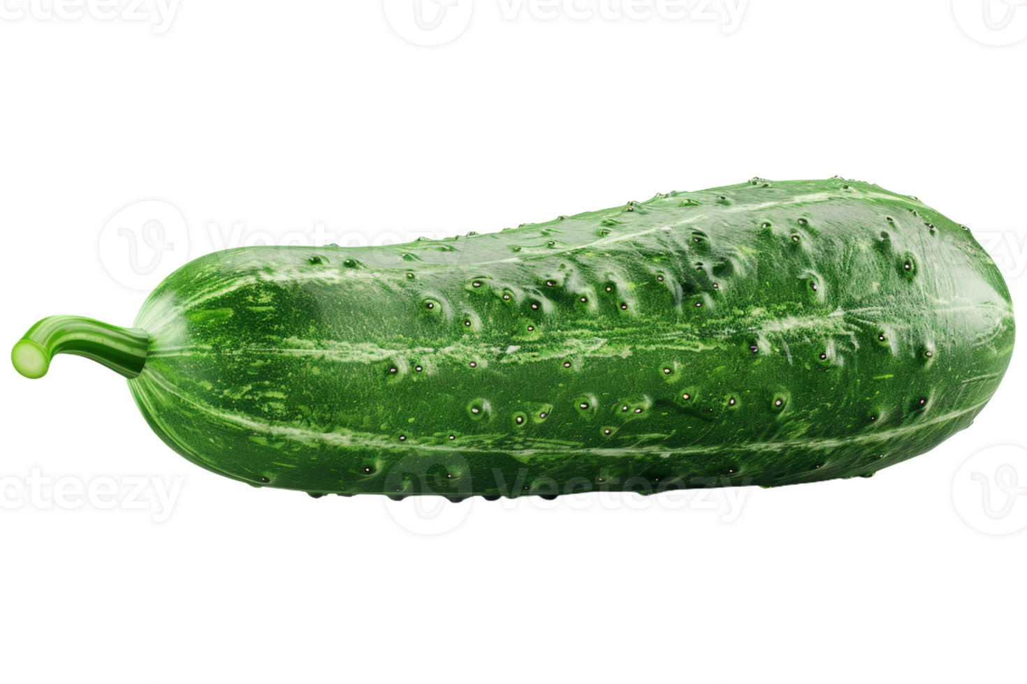Fresh Green Cucumber Isolated png