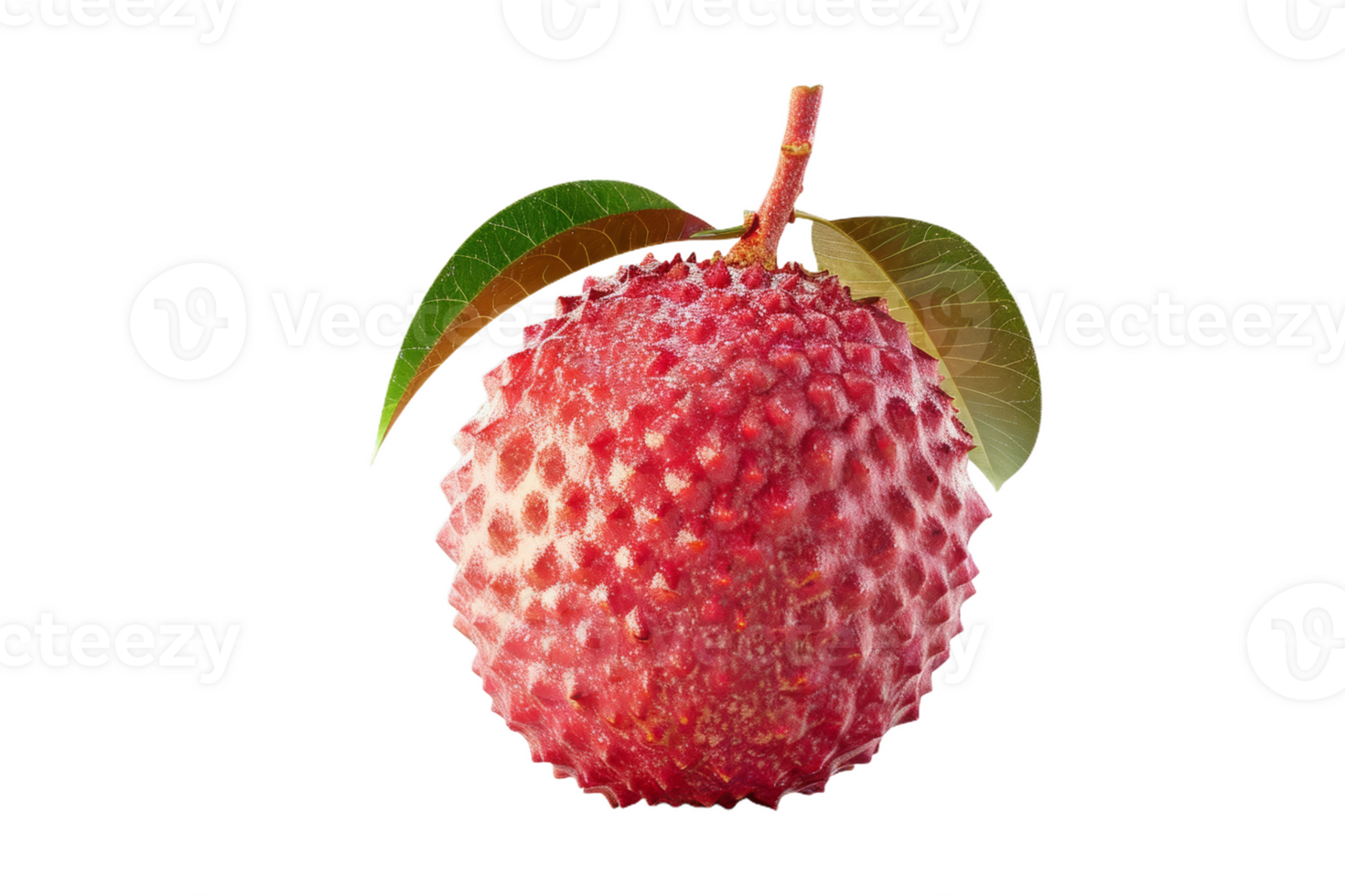 Fresh Lychee With Green Leaves png