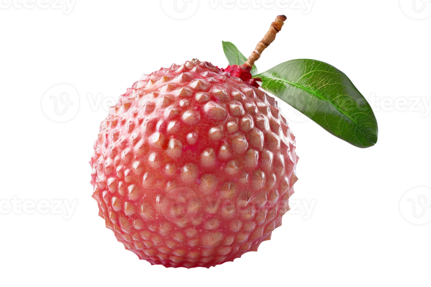 Fresh Lychee With Leaf png