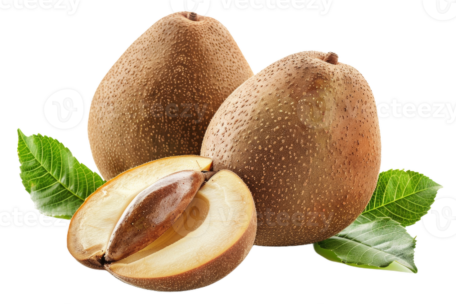 Fresh Sapodilla Fruit With Leaves png