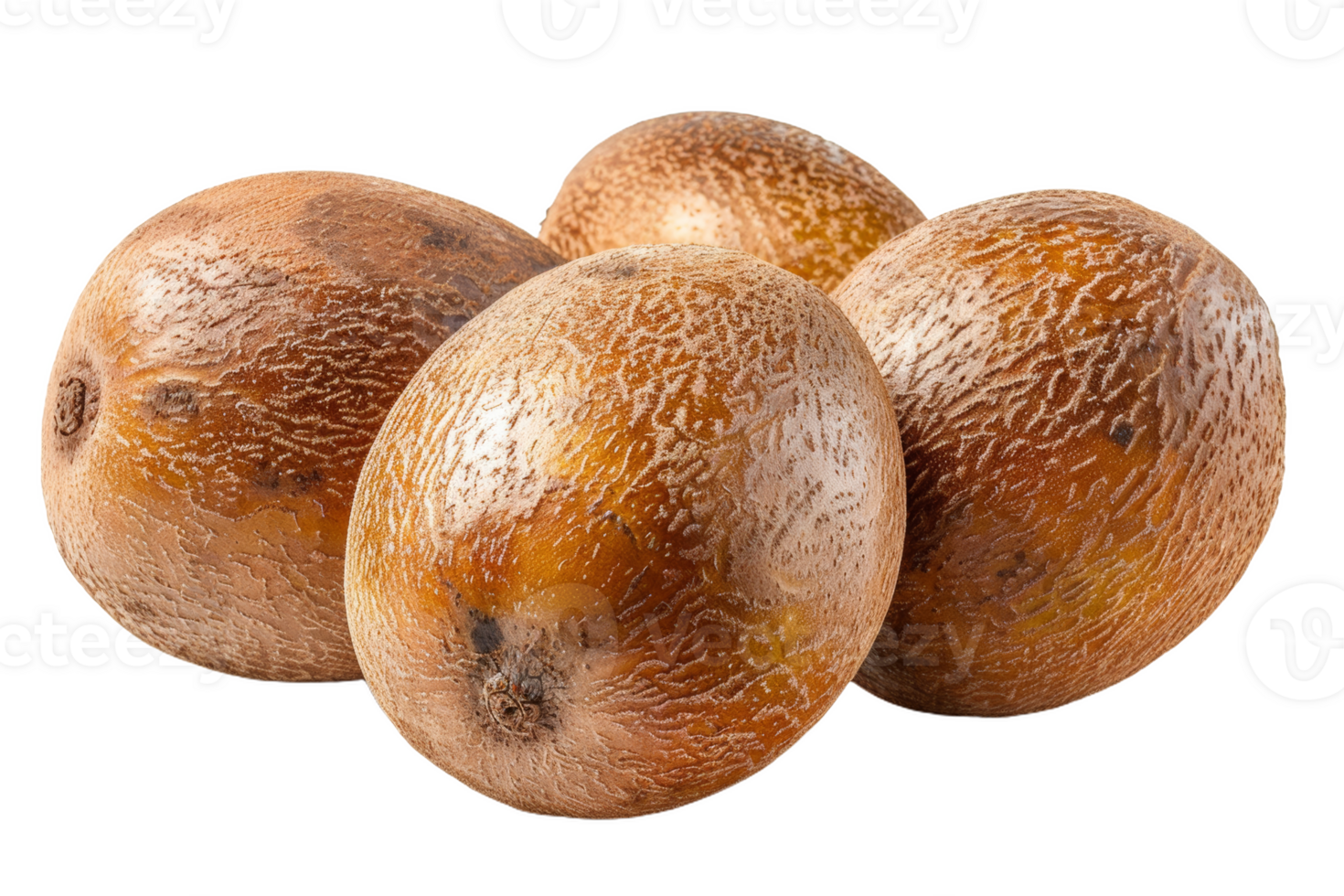 Fresh Sapodilla Fruit Isolated png