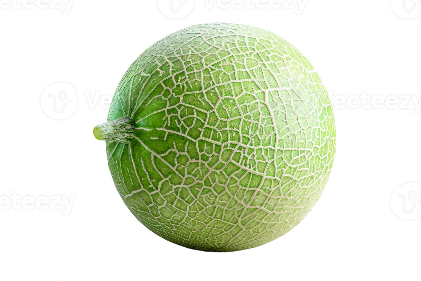Green Honeydew Melon png