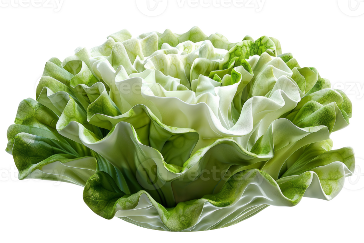Green Iceberg Lettuce Head png