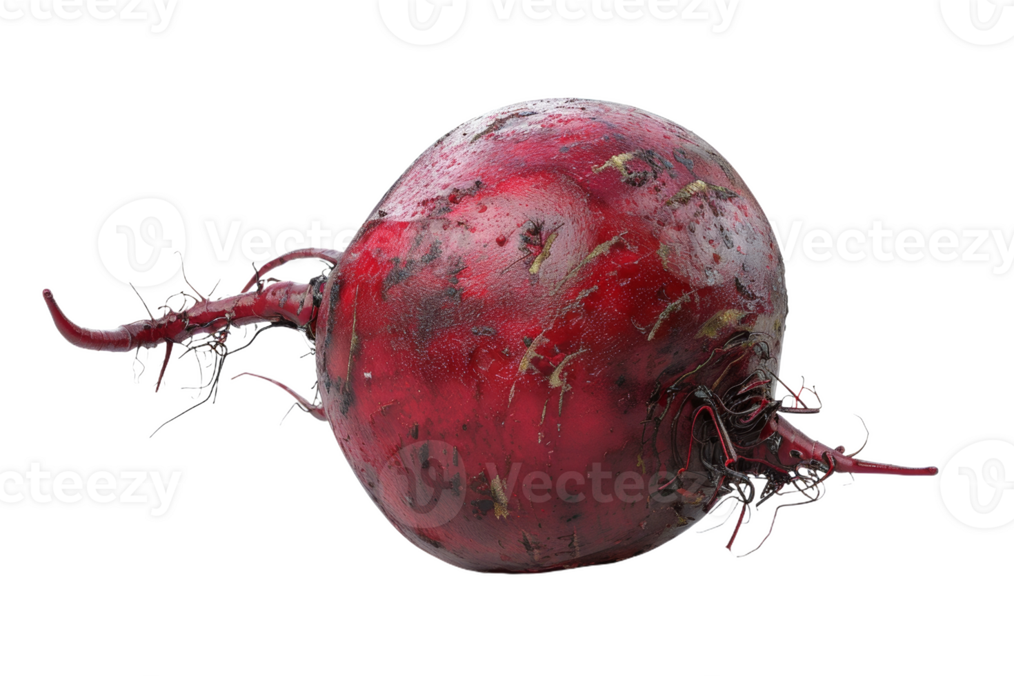 Red Beetroot Isolated png