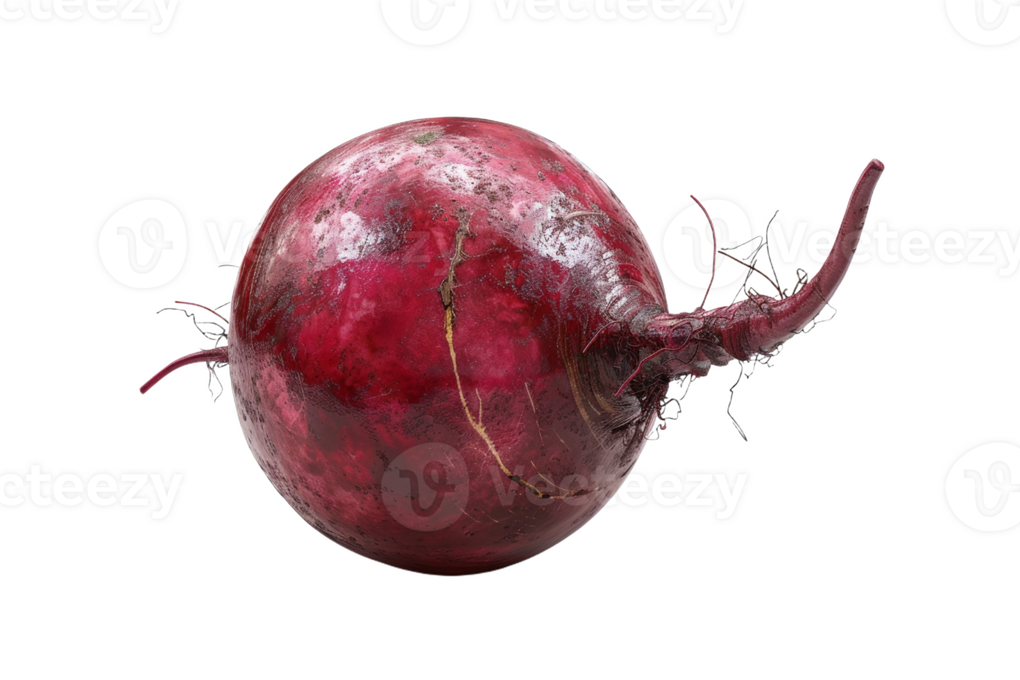 Red Beetroot Isolated png
