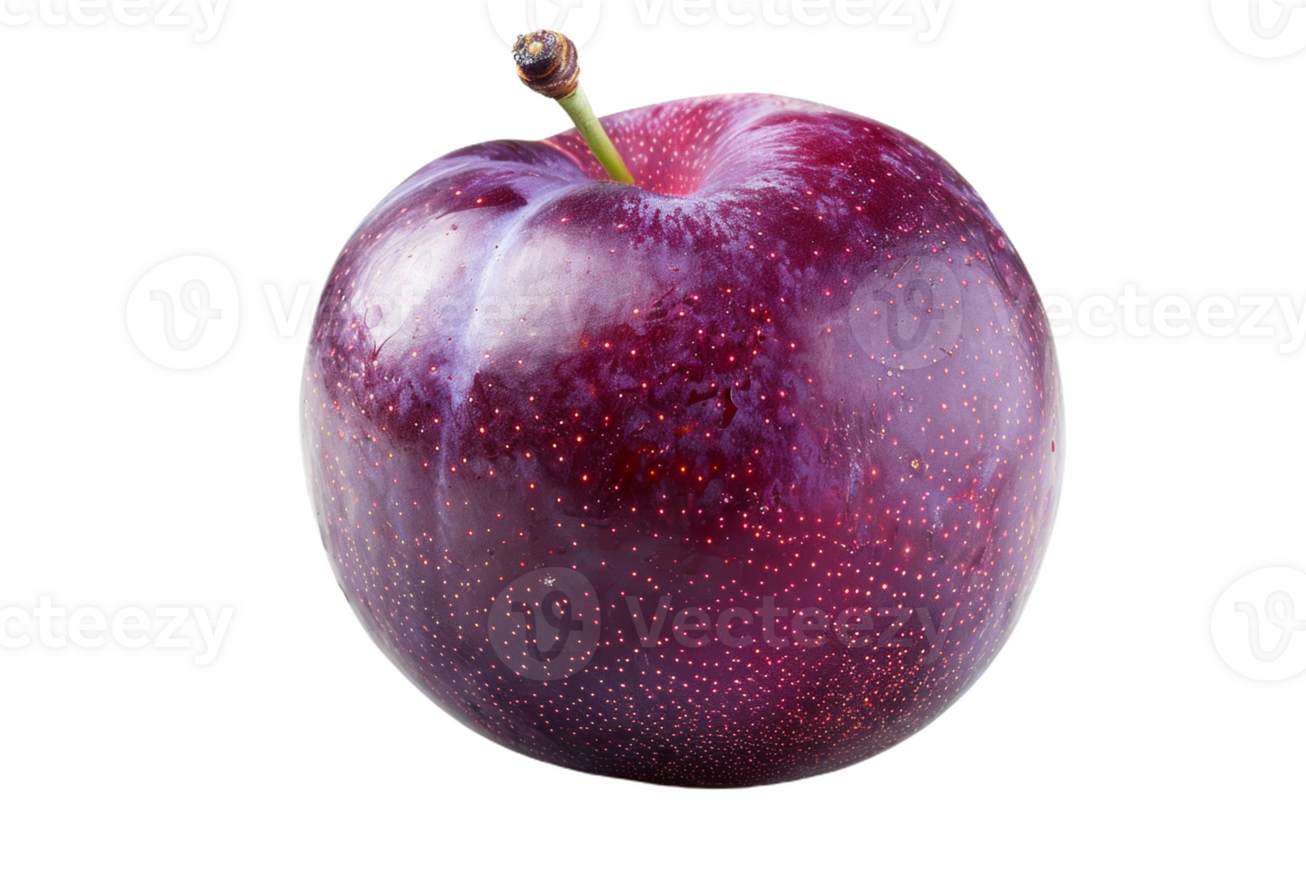 Purple Plum Isolated png