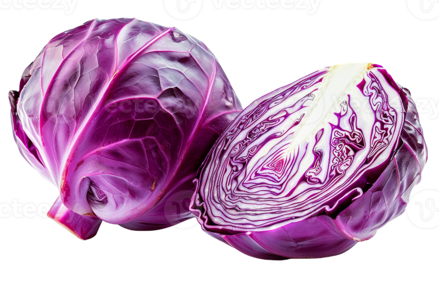 Red Cabbage Cut in Half png