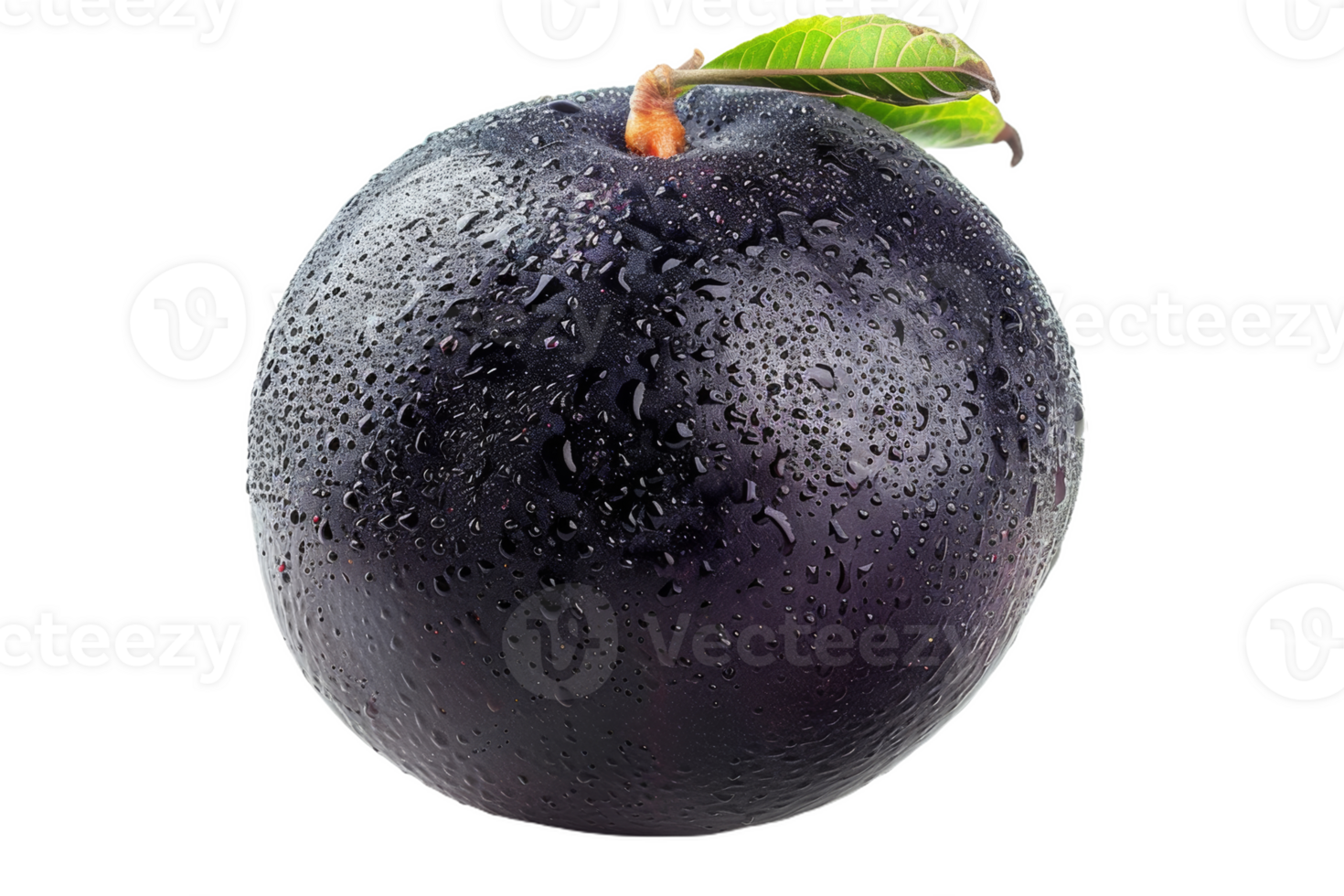 Ripe Black Sapote With Dew Drops png