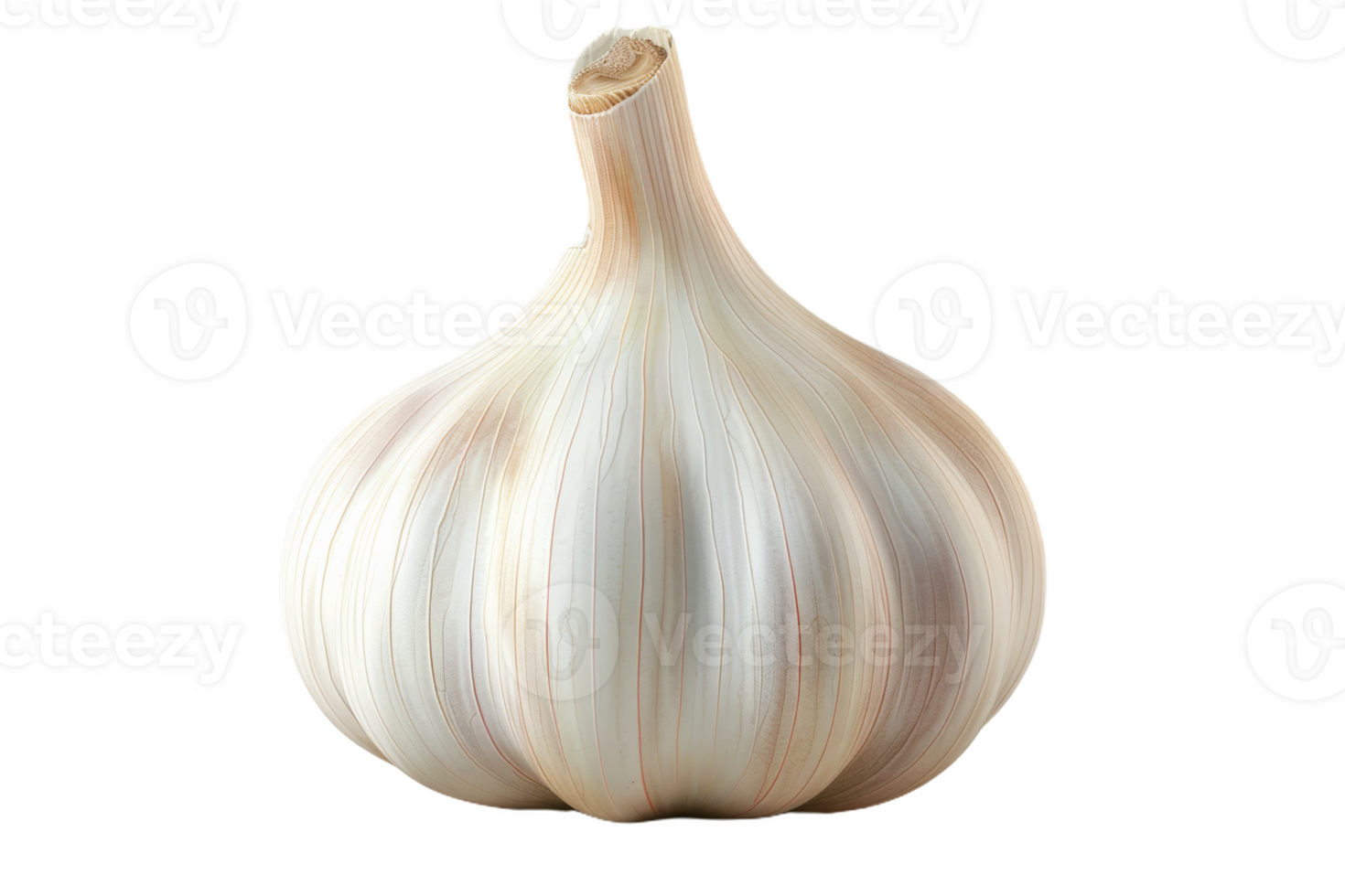 A Single Garlic Bulb png