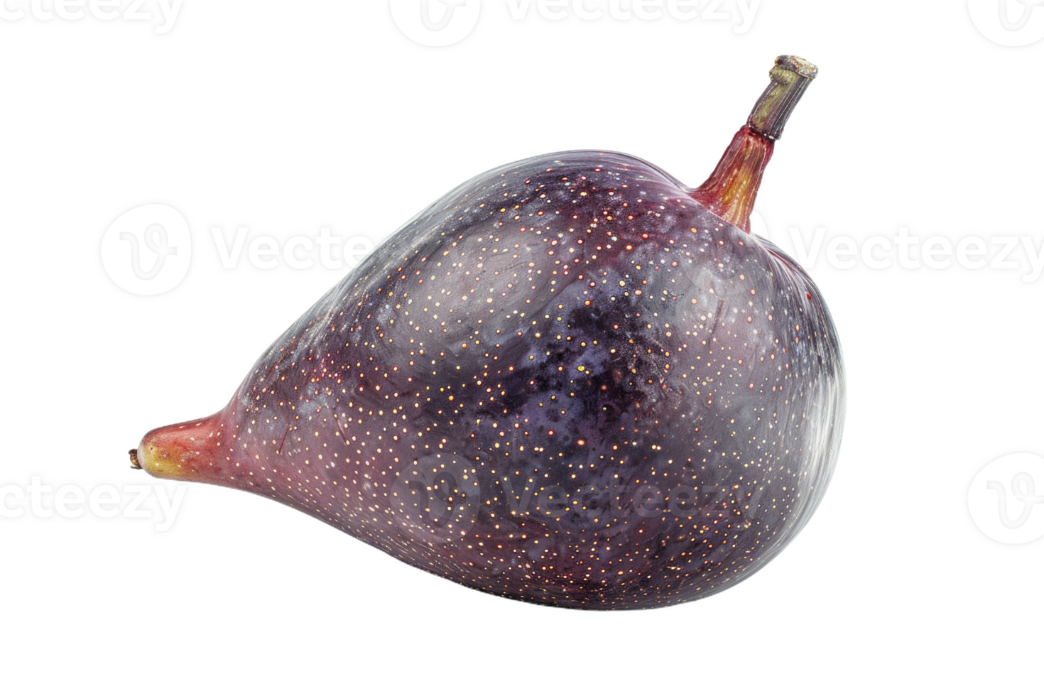Purple Fig Isolated png