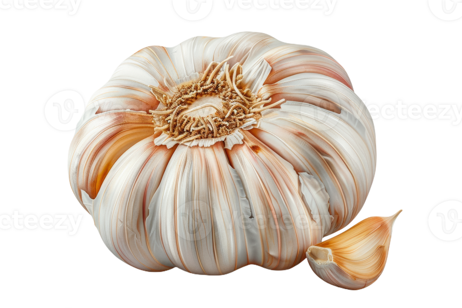 Whole Garlic Bulb With Clove png