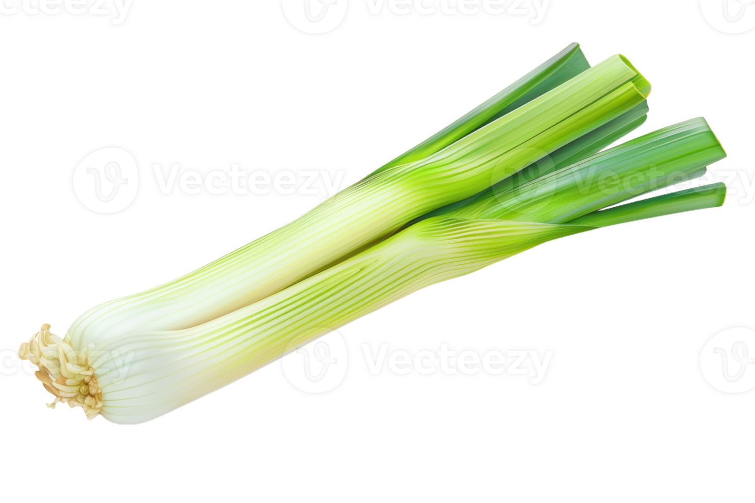 Single Whole Leek Isolated png