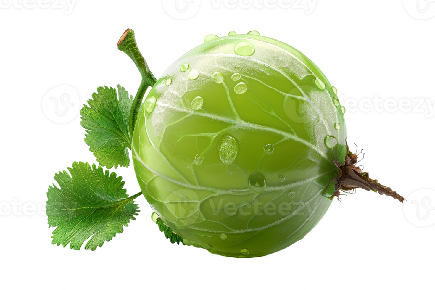 A Single Gooseberry With Dewdrops png