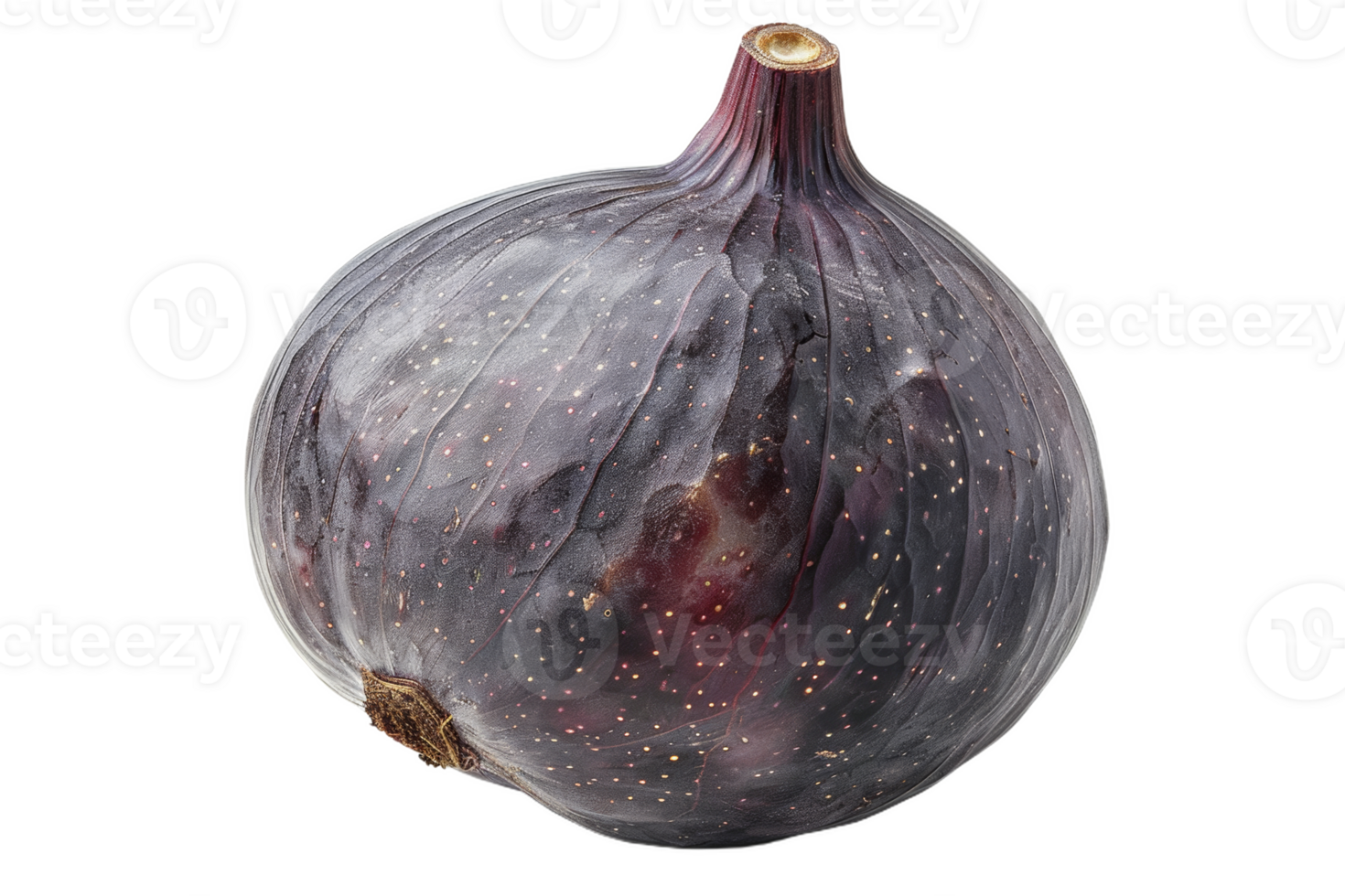 Ripe Fig Isolated png