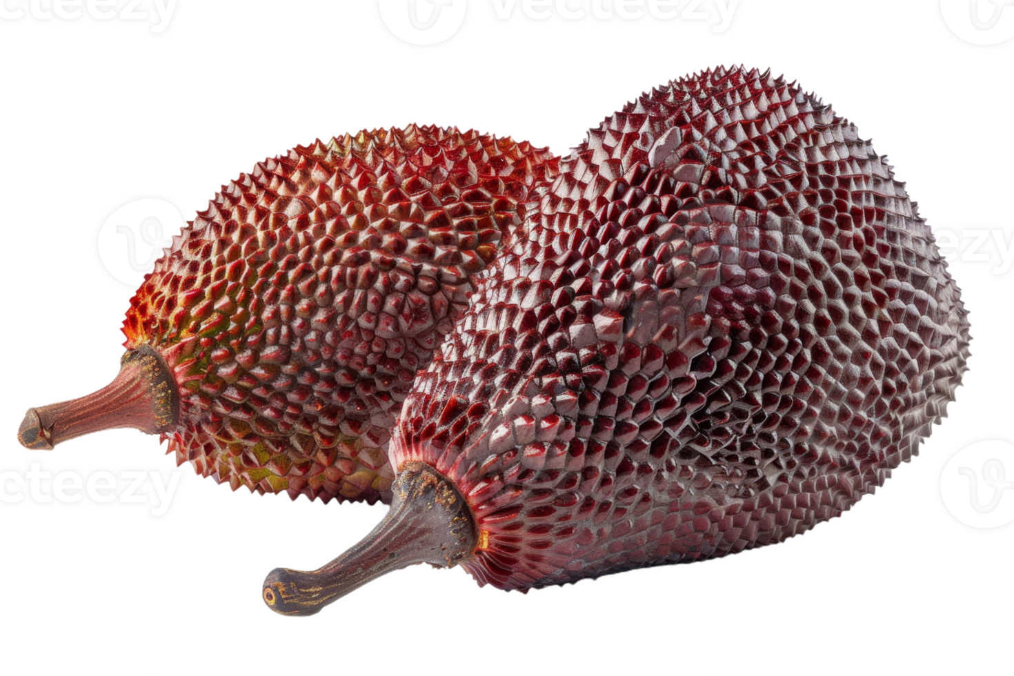 Two Whole Salak Fruits Isolated png