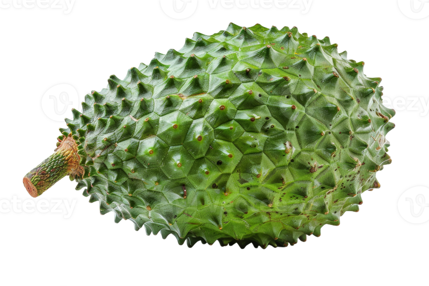 Whole Soursop Fruit Isolated png