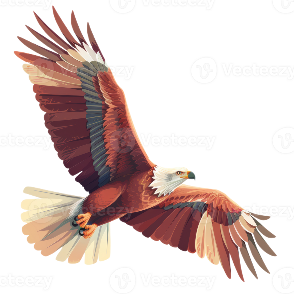 Majestic Eagle Soaring in Flight png