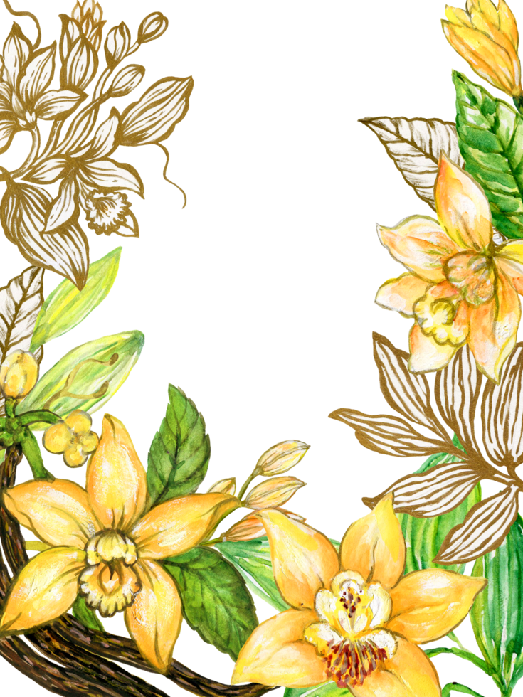 Vanilla flower, pods, leaves, cacao isolated on white template watercolor sketch outline golden png