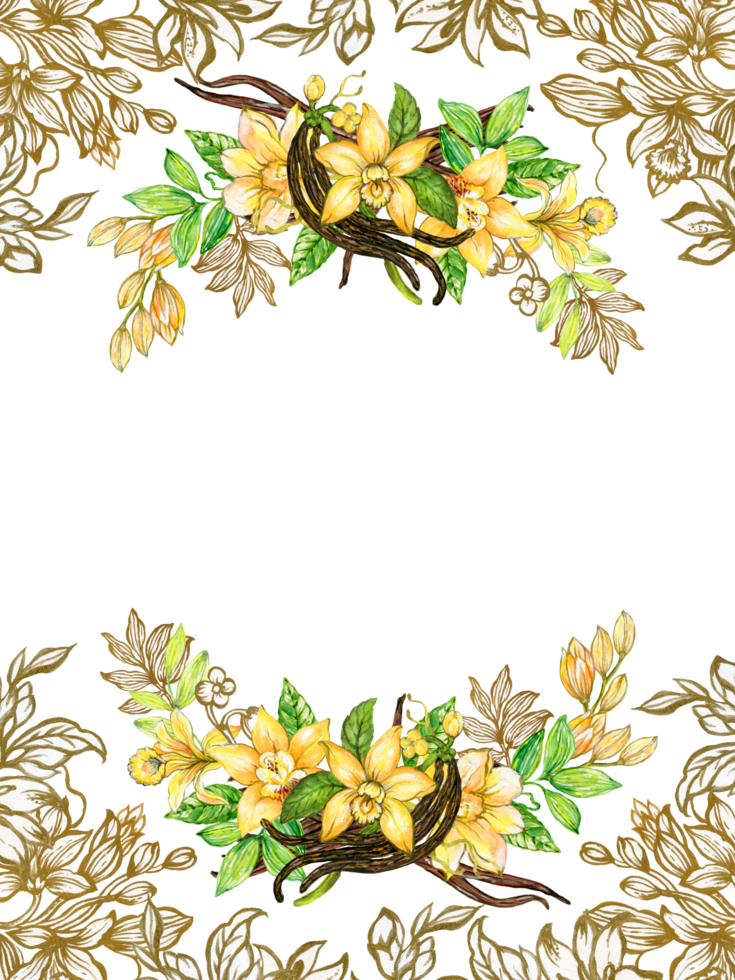 Vanilla flower, pods, leaves, cacao isolated on white template watercolor sketch outline golden png