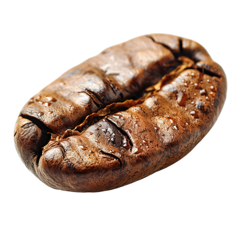roasted coffee bean ,Coffee Bean Isolated on Transparent Background , png
