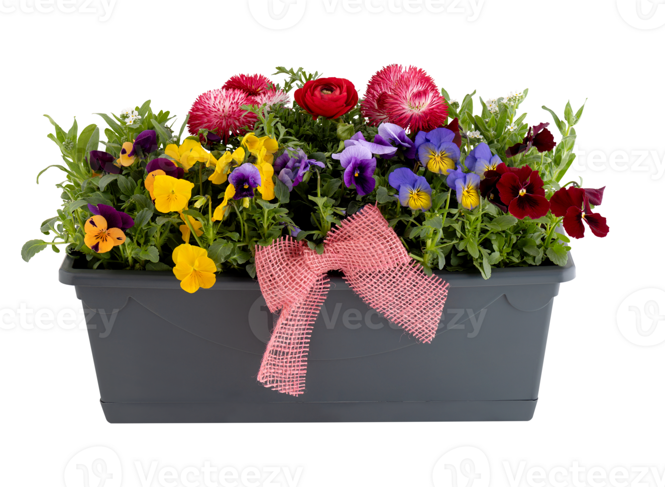 flowers in pots cut out isolated transparent background png