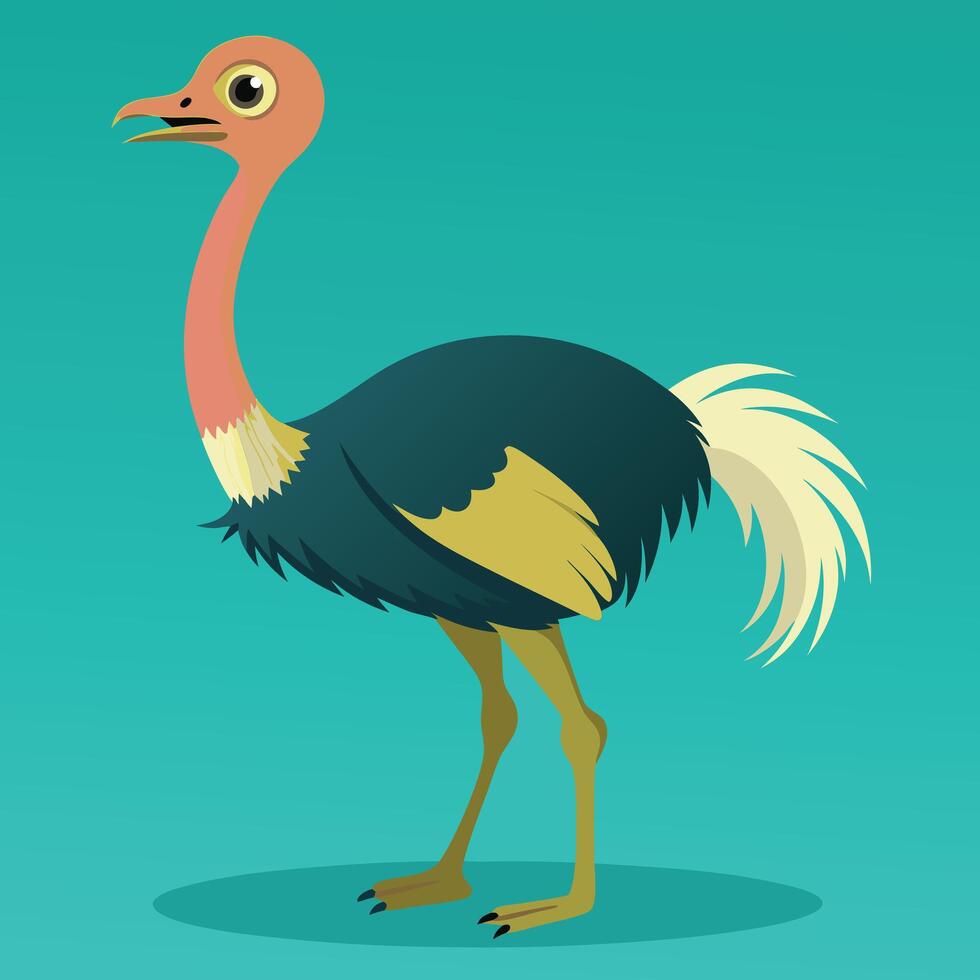 The Ostriches bird vector