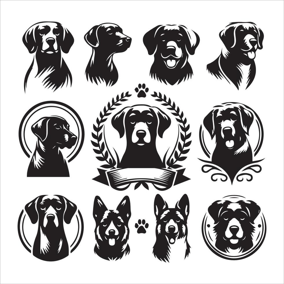 Print A collage of a dog a plant in an illustrated frame risograph silhouette white background vector