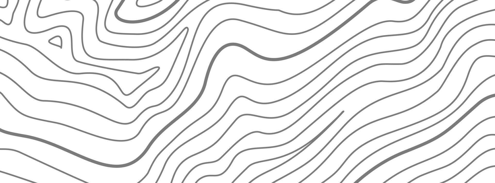 Topographic contour map background. Contour background. Topographic map pattern background. Abstract wavy lines background. Background with topographic contours. vector