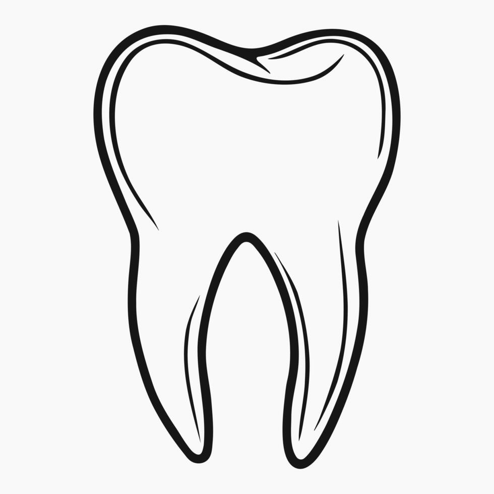 Outline molar teeth icon. Dental clinic logo. Minimalistic design element vector