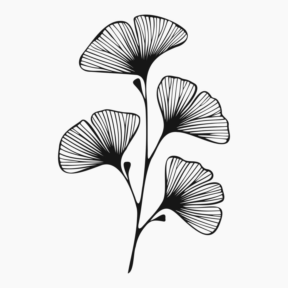 Ginkgo biloba branch, line art isolated on white background. Hand drawn exotic floral element for invitation, greeting card, poster vector