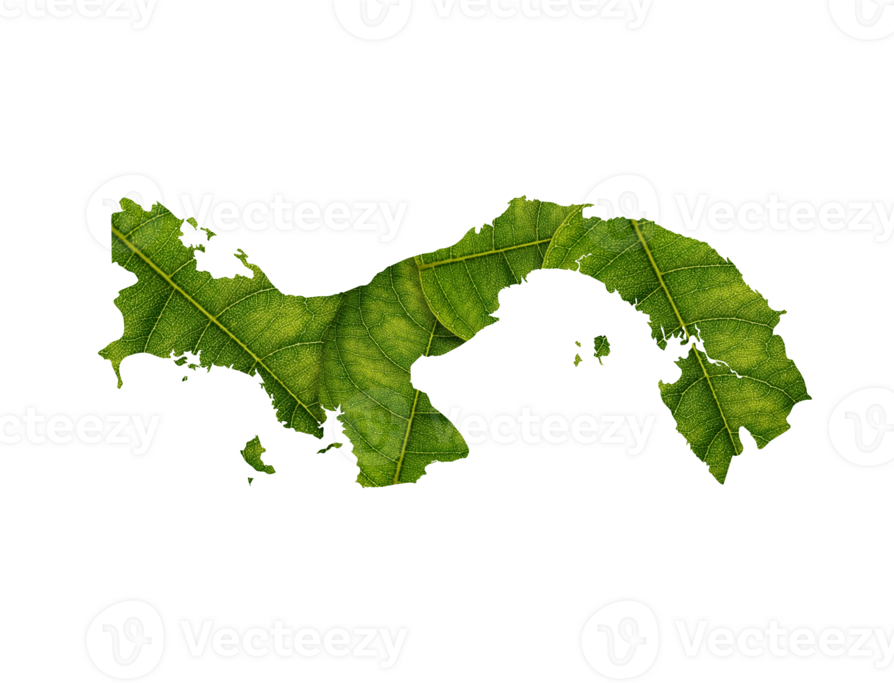 Panama map made of green leaves ecology concept png