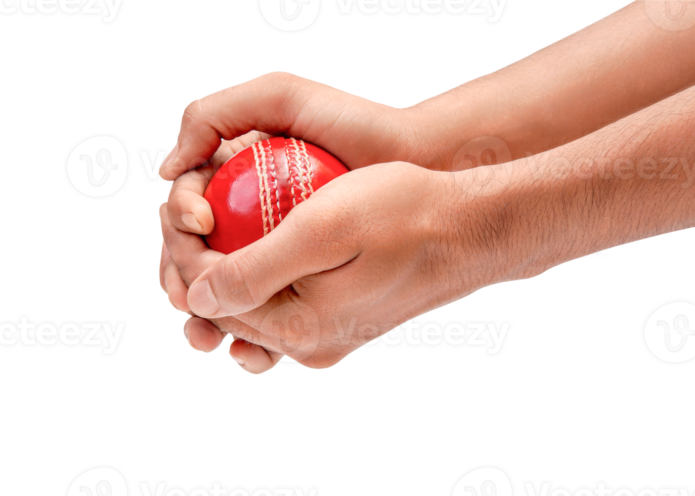 A Man Hands Taking The Catch Of A Red Leather Test Cricket Ball Closeup Photo png