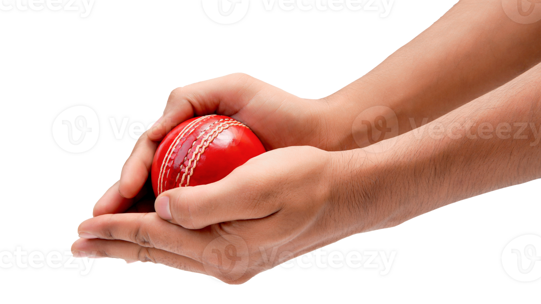 A Man Hands Taking The Catch Of A Red Leather Test Cricket Ball Closeup Photo png