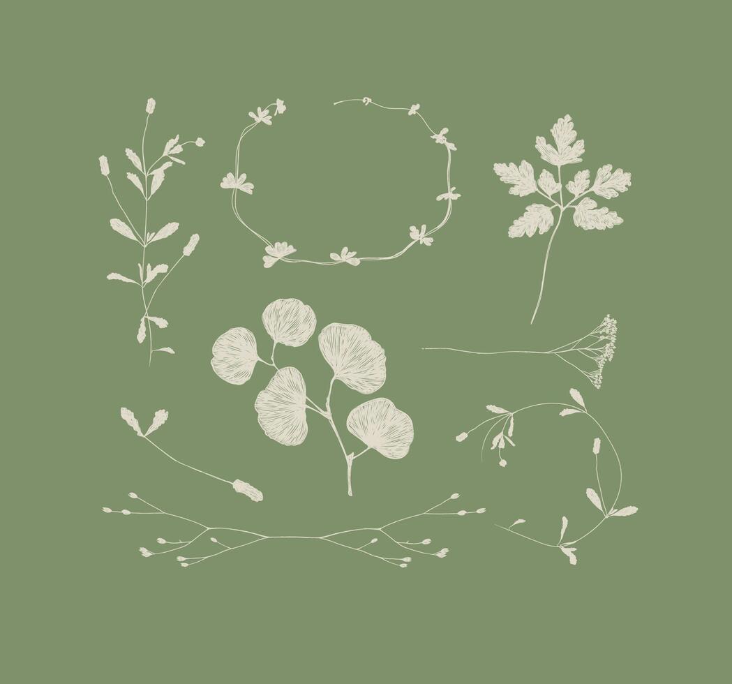 Branches and leaves silhouettes set drawing on green background vector