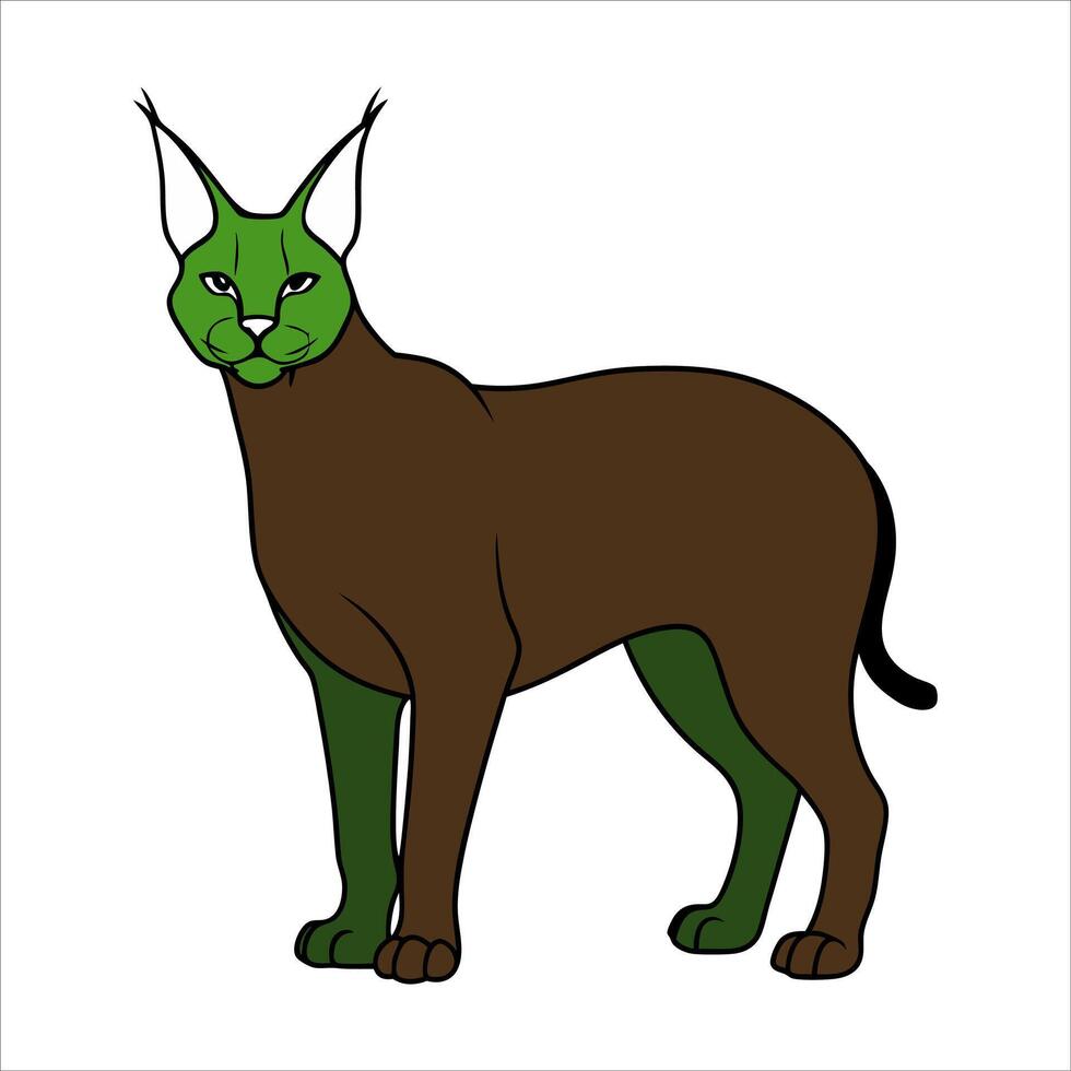 Caracal cat illustration vector
