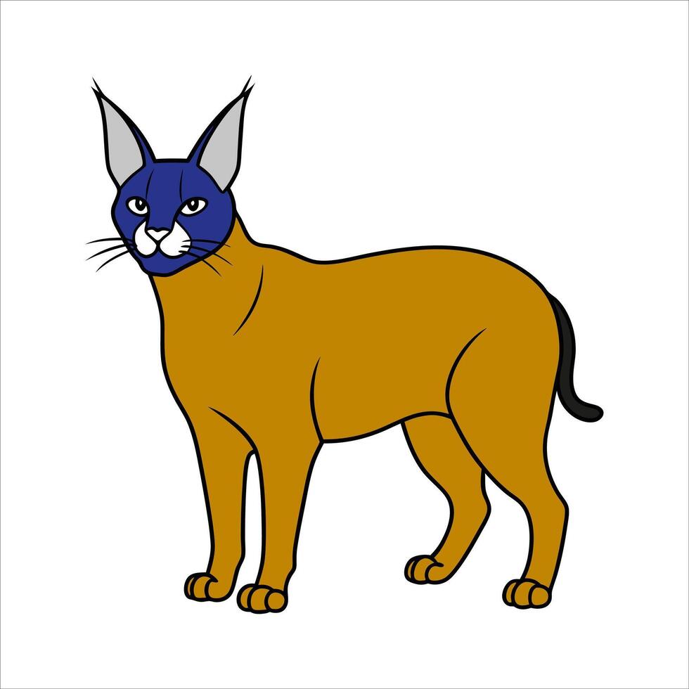 Caracal cat illustration vector