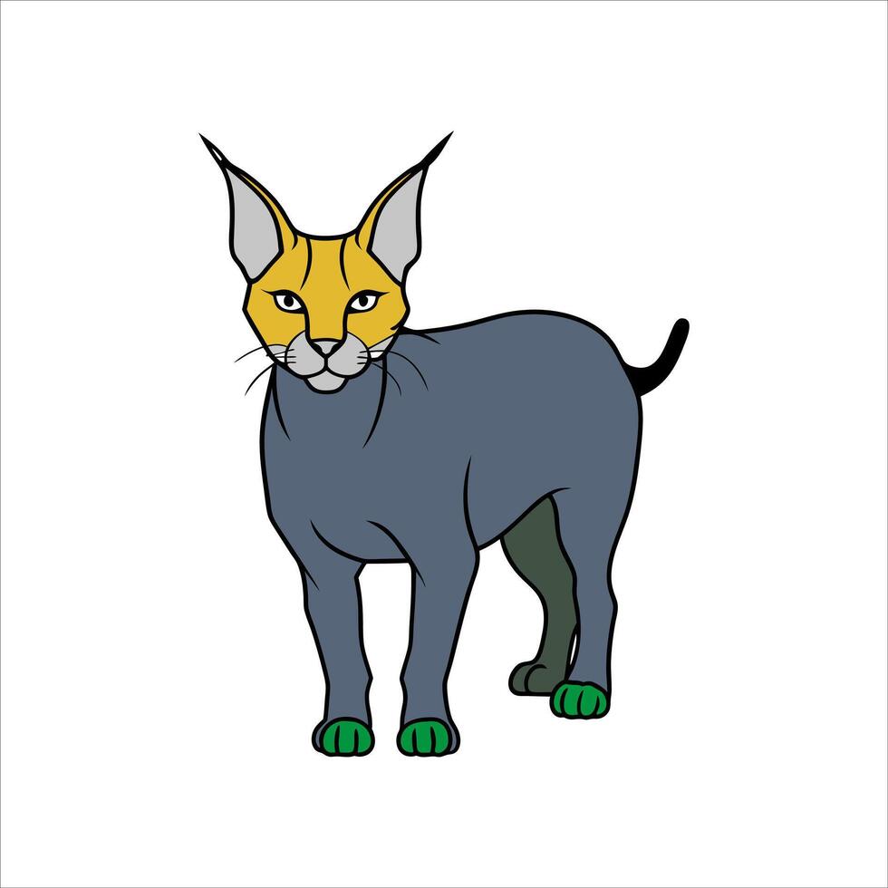 Caracal cat illustration vector