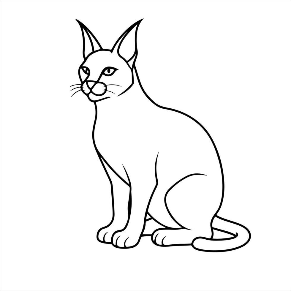Caracal cat illustration vector