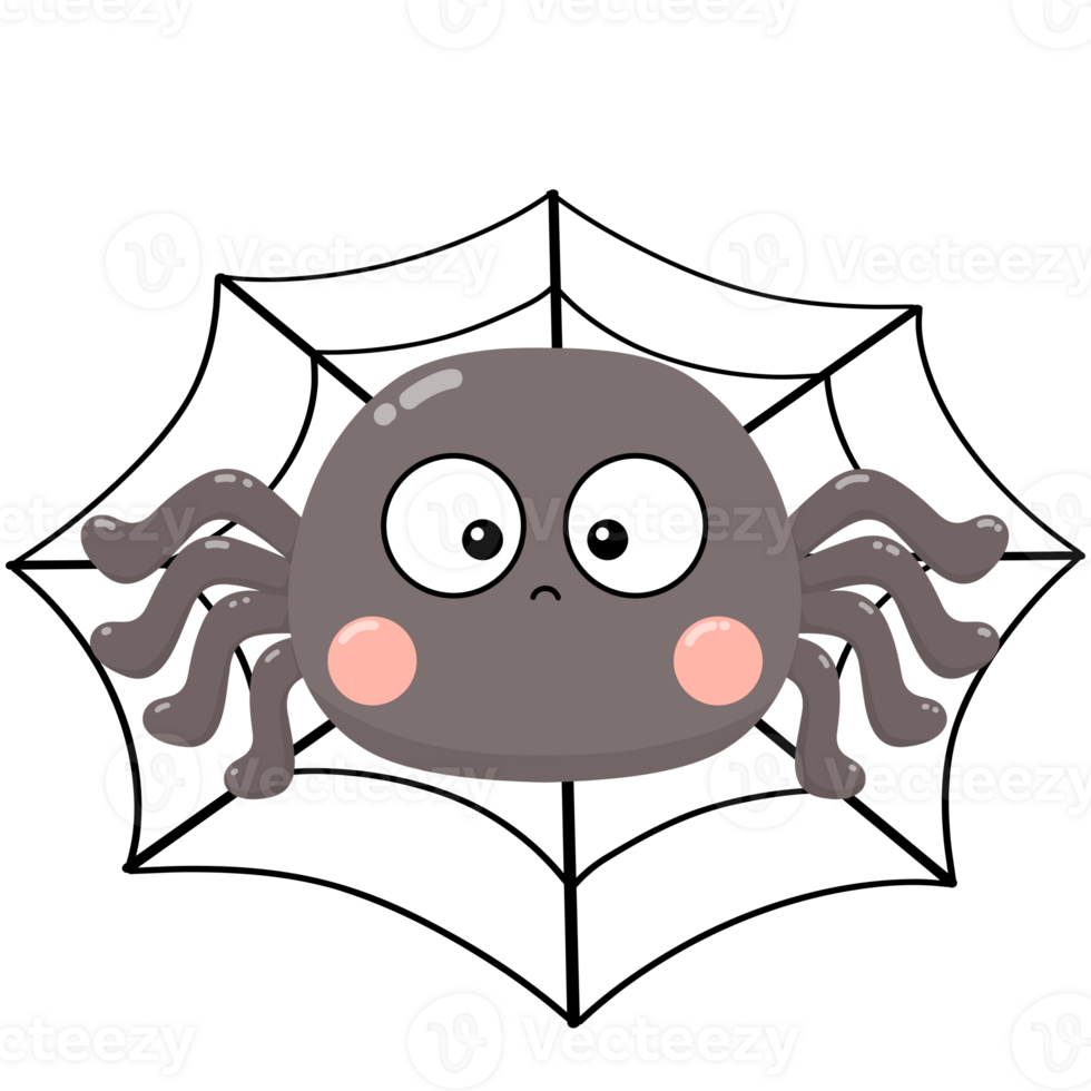Spider and web png