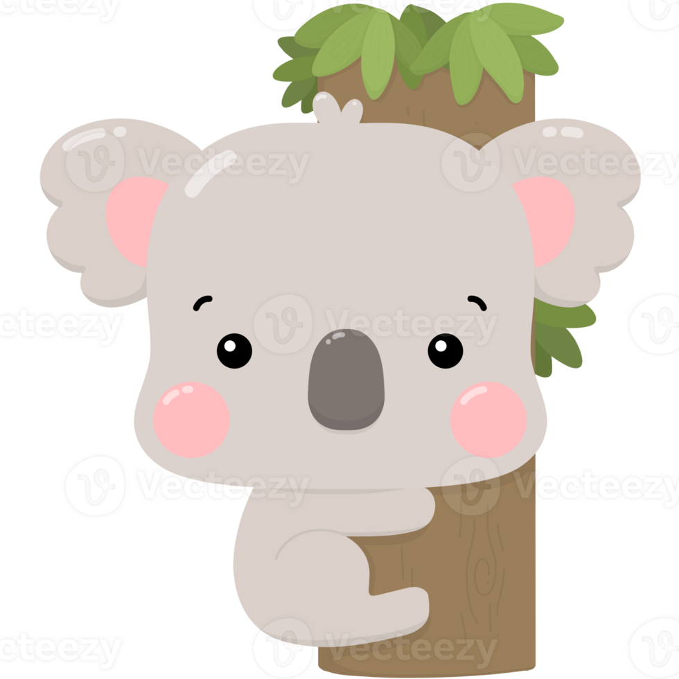 Koala and tree png