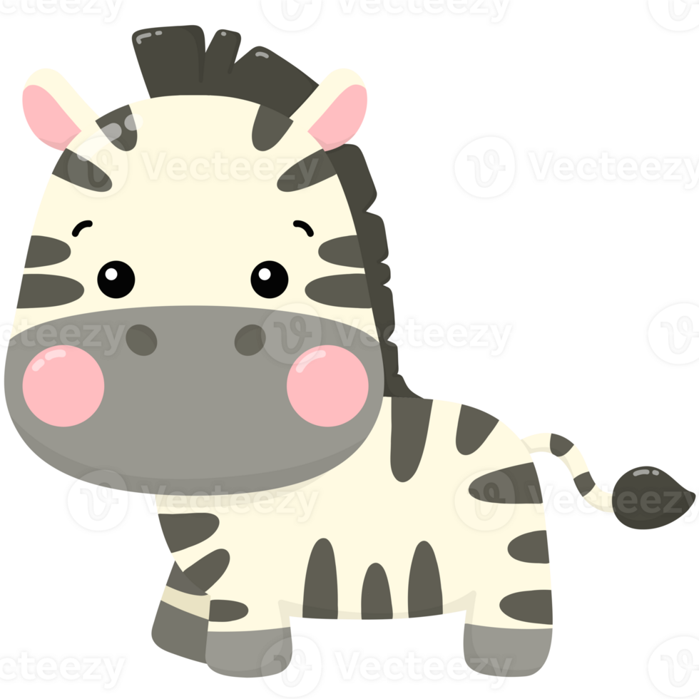 Cute baby zebra png