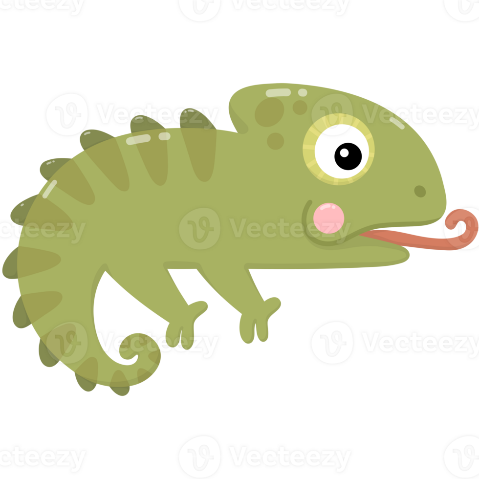 Cutie green lizard png